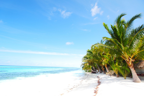 Tourisme, la stratégie des plaisirs. A découvrir dans le nouveau numéro de La Revue des Affaires Tourisme, la stratégie des plaisirs. A découvrir dans le nouveau numéro de La Revue des Affaires