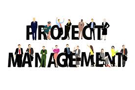Vers une synthèse des écrits portant sur le concept de co-construction : regard croisé entre la gestion de projet et le travail social Vers une synthèse des écrits portant sur le concept de co-construction : regard croisé entre la gestion de projet et le travail social
