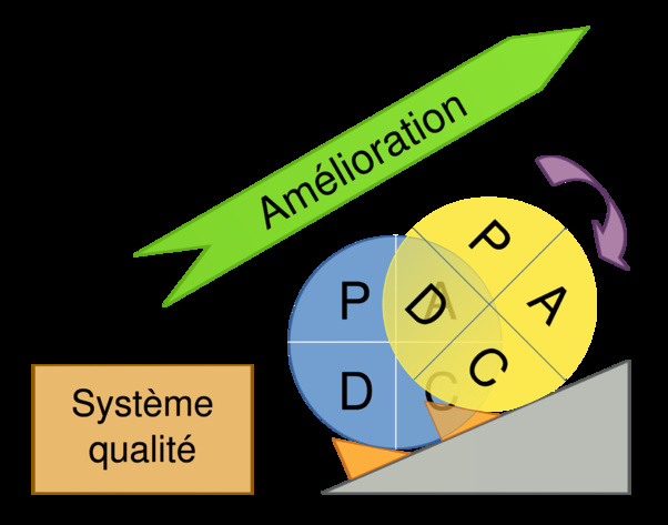 Démarche Qualité & Capitalisation des Compétences Humaines : Analyse et proposition d’un modèle exploratoire Démarche Qualité & Capitalisation des Compétences Humaines : Analyse et proposition d’un modèle exploratoire