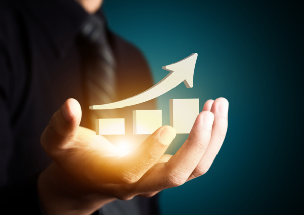 Structure de contrôle et performance des entreprises camerounaises Structure de contrôle et performance des entreprises camerounaises