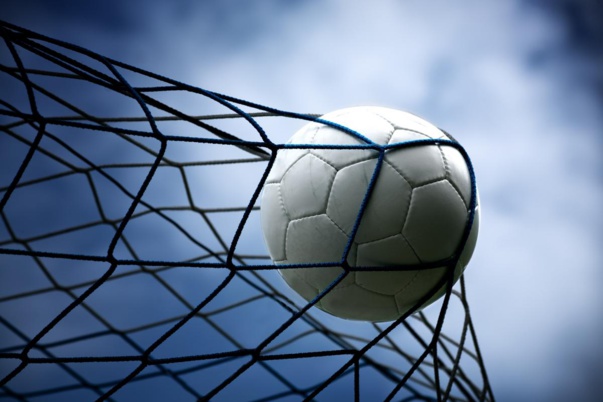 Gouverner le football professionnel