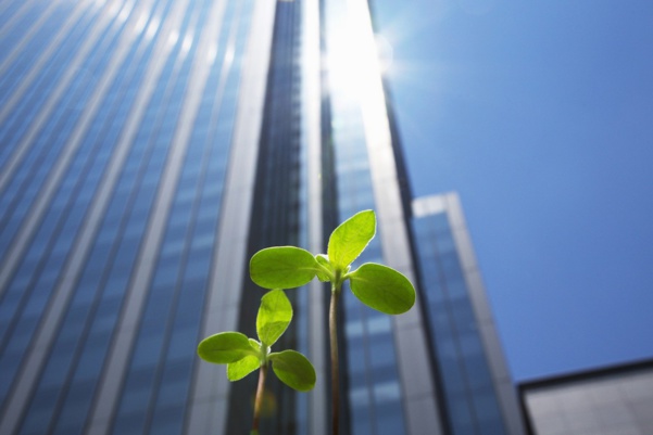 Pour des managers durablement responsables