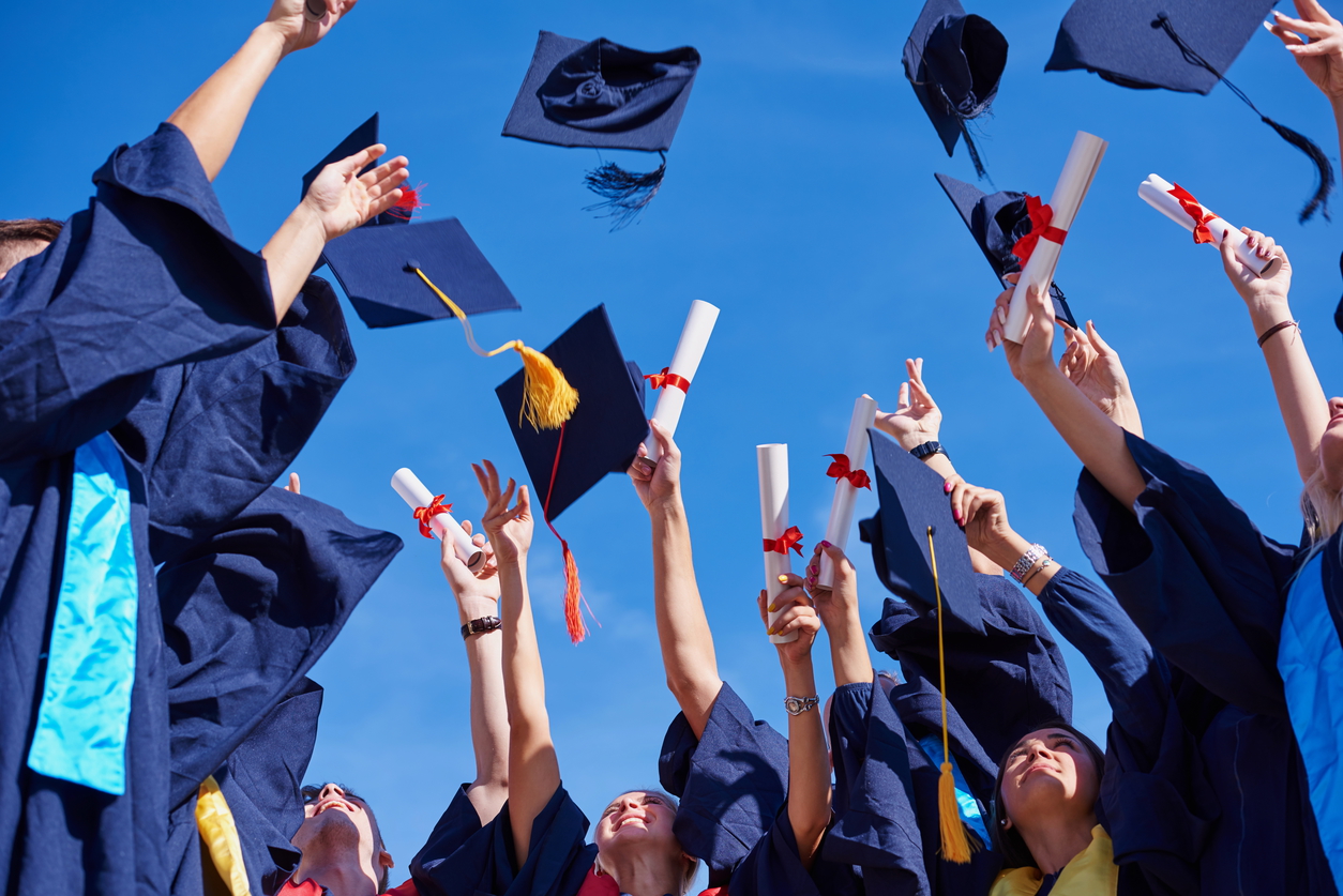 The impacts of human involvement on performance : the educational ...