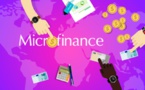 La Stratégie RSE des Institutions de Microfinance au Cameroun
