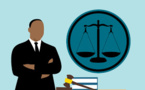 Horizontalité et réseau.   Un changement de paradigme pour améliorer la Justice
